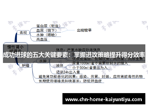 成功进球的五大关键要素：掌握进攻策略提升得分效率