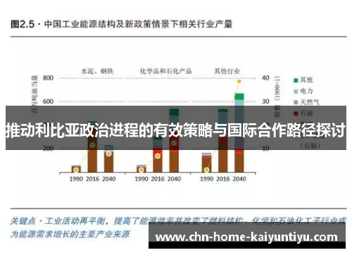 推动利比亚政治进程的有效策略与国际合作路径探讨