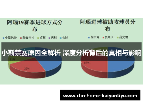 小斯禁赛原因全解析 深度分析背后的真相与影响