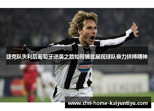 捷克队失利后葡萄牙逆袭之路如何铺就展现球队奋力拼搏精神