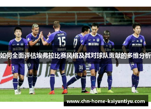 如何全面评估埃弗拉比赛风格及其对球队贡献的多维分析