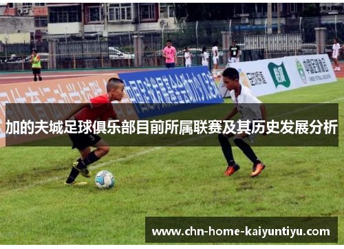 加的夫城足球俱乐部目前所属联赛及其历史发展分析