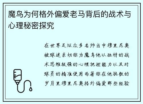 魔鸟为何格外偏爱老马背后的战术与心理秘密探究