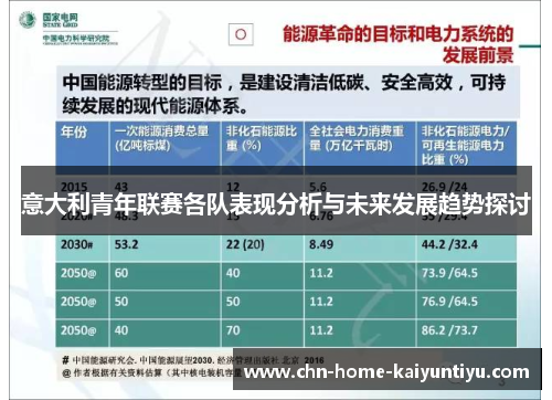 意大利青年联赛各队表现分析与未来发展趋势探讨