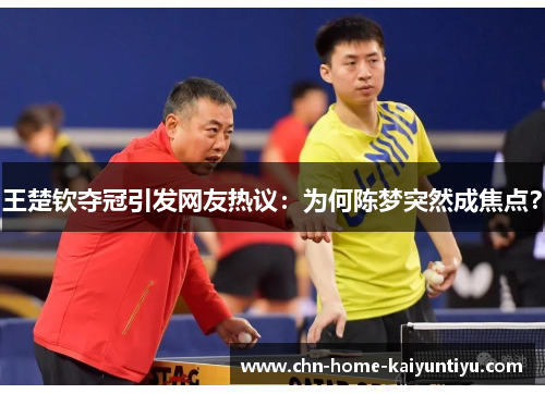 王楚钦夺冠引发网友热议:为何陈梦突然成焦点? 王楚钦夺冠引发网友热议:为何陈梦突然成焦点?